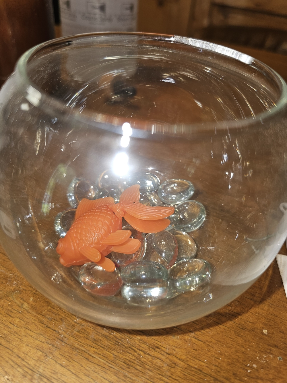 Just Add Water Goldfish With Fish Bowl - Pets For The Busy